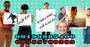 راهنماها و توصیه ها برای خرید یک فلزیاب